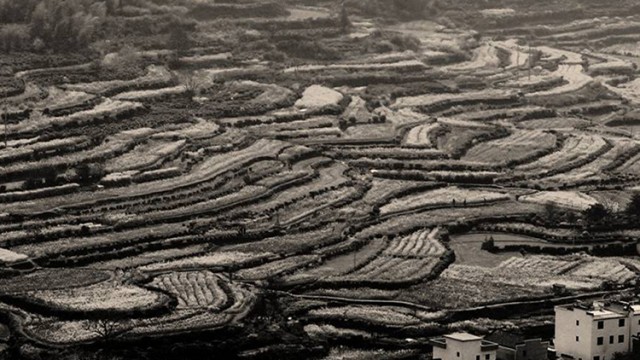 021-640x360.jpg